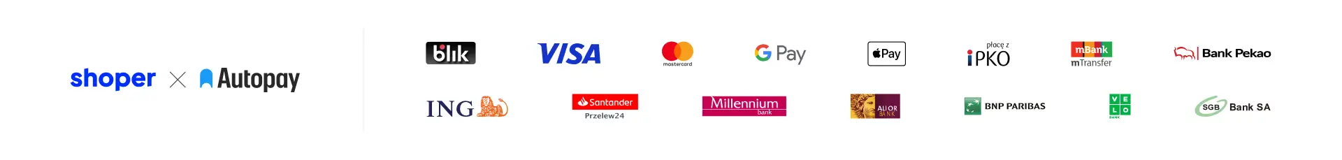 możliwości płatności w sklepie e-winietki